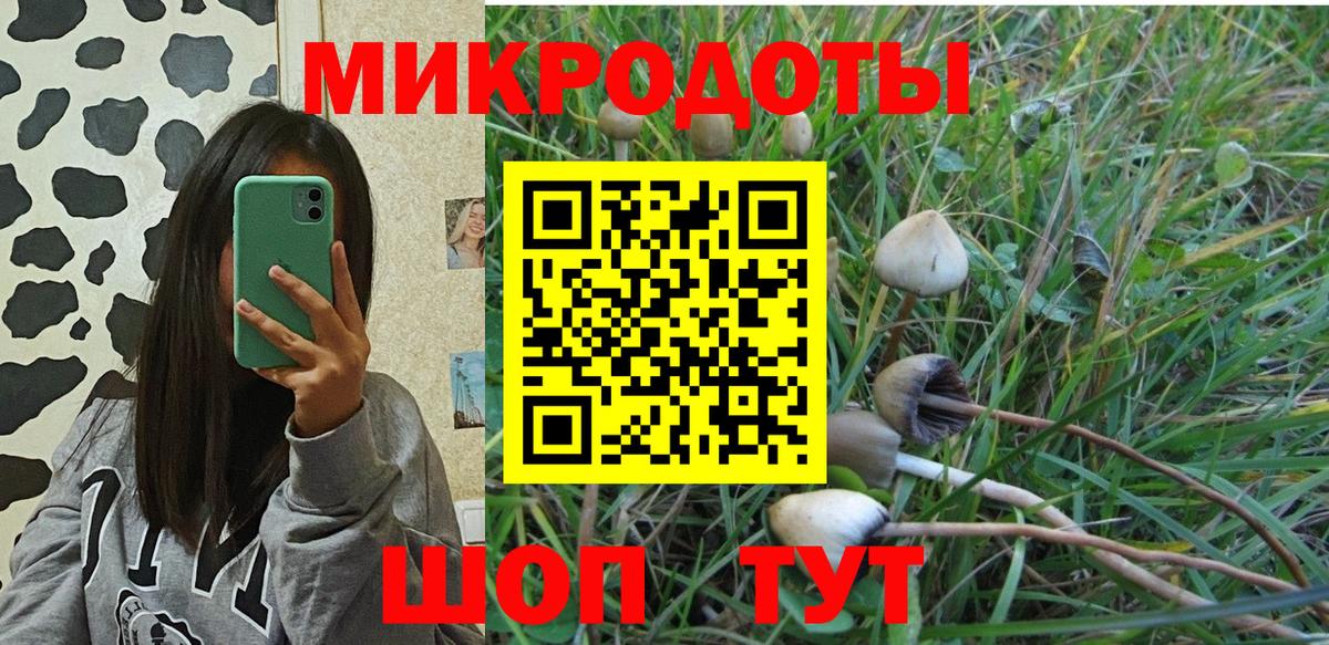Галлюциногенные грибы прущие грибы Канск