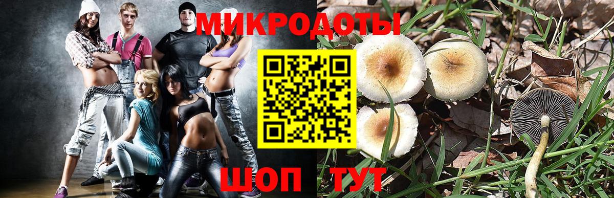 Канск  Галлюциногенные грибы прущие грибы  магазин    Вход с VPN 